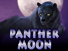В автоматы Вулкан на деньги и Panther Moon играйте без регистрации