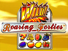Характеристика игрового автомата Roaring Forties в казино Вулкан
