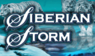 Siberian Storm