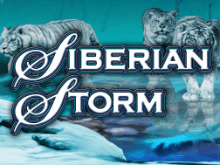 Играть онлайн на игровом автомате Siberian Storm в клубе Вулкан